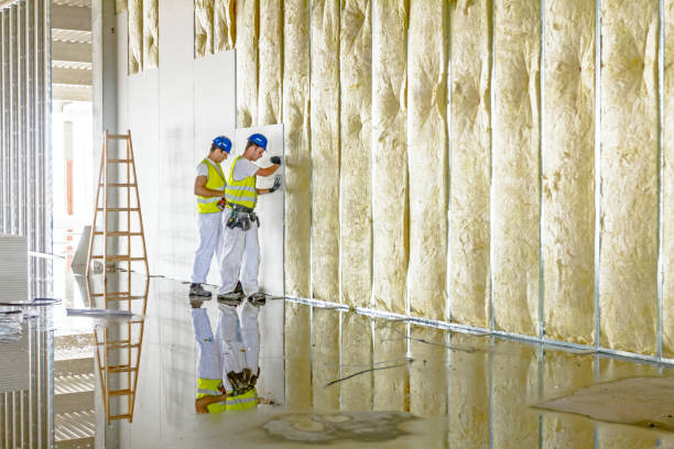 Best Commercial Insulation in Bensenvle, IL